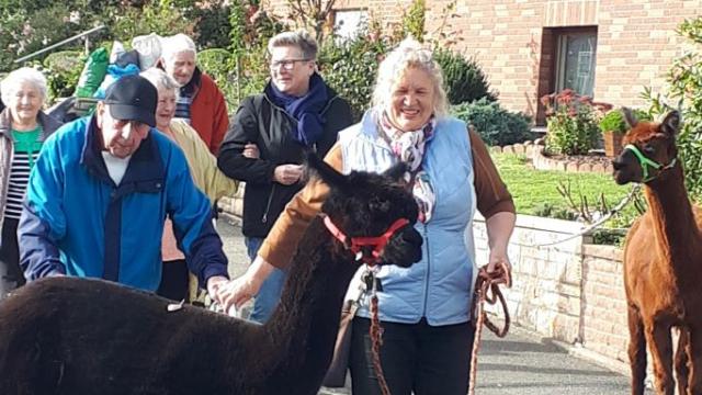Christina Engelhardt (r.) begrüßte mit ihren Alpakas die Gruppe der Gäste aus der Caritas-Tagespflege Duderstadt. | Foto: Caritas