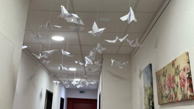 Zahlreiche Tauben schmücken nun den Flur und …